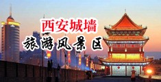 日本猛少妇色XXXXX猛叫中国陕西-西安城墙旅游风景区